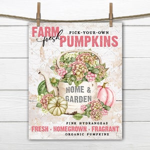 May include: A vintage-style sign with the text "FARM fresh PUMPKINS" in pink lettering. The sign features a white teapot filled with pink hydrangeas and a pumpkin. The text "HOME & GARDEN" is in a white box. The sign also includes the text "PINK HYDRANGEAS FRESH HOMEGROWN FRAGRANT ORGANIC PUMPKINS".