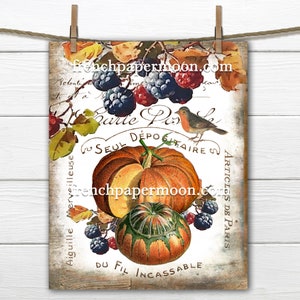 Vintage French Pumpkin Digital, Pumpkins, Woodland, Fall Berries, Autumn Colors, French Pillow Image, DIY Fall Decor,, Transparent, Bird