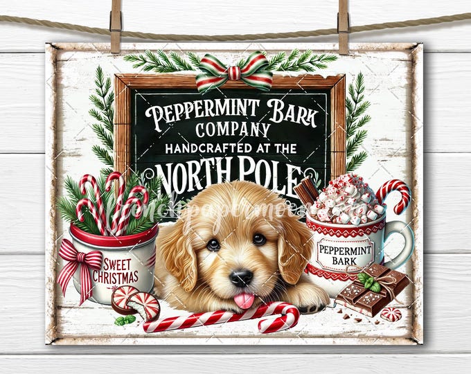 Peppermint bark Golden Retriever Puppy, Peppermint Cocoa, Pepperint Candy, Peppermint Christmas, DIY Sign, Fabric Transfer, Sublimation, png