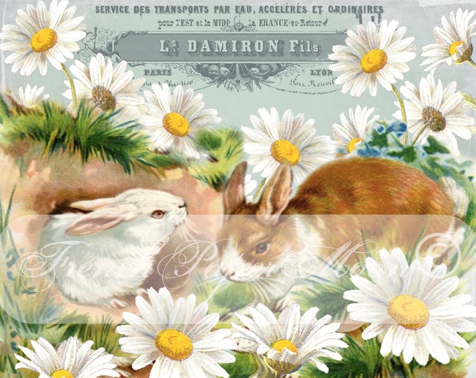 Shabby Vintage Bunnies, Vintage Rabbits, Flowers, Daisies, French Typography, Instant Download Graphic Transfer