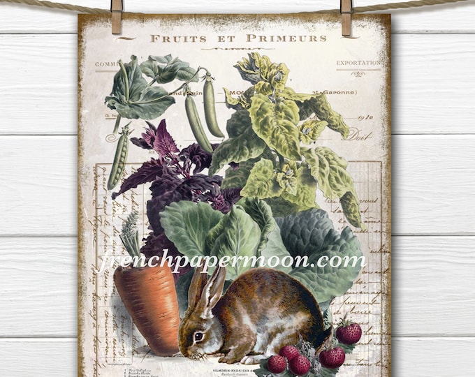 French Vegetable Printable, Bunny, Rabbit, Fall Vegetables, Vintage Vegetable Garden, Kitchen Bunny Print, Fall Decor, Digital