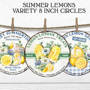 Summer Lemons Homemade Ice Cream Popsicles Gelato  8x8 inch circle Sublimation DIY Sign Making Door Hanger  Home Decor Digital Print PNG