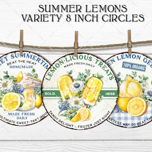 Summer Lemons Homemade Ice Cream Popsicles Gelato 8x8 inch circle Sublimation DIY Sign Making Door Hanger Home Decor Digital Print PNG image 1