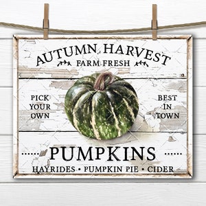 Autumn Harvest Pumpkin Sign, Farmhouse Fall Pumpkin Wall Art Sign, DIY Wreath Sign Making, Farmhouse Fall Decor, Digital Print PNG