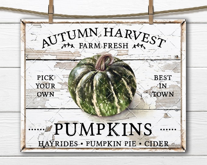 Autumn Harvest Pumpkin Sign, Farmhouse Fall Pumpkin Wall Art Sign, DIY Wreath Sign Making, Farmhouse Fall Decor, Digital Print PNG