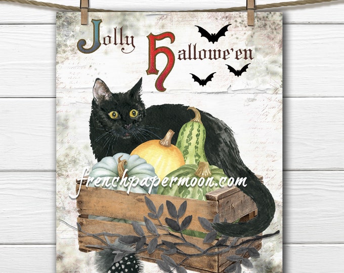 Black Cat Halloween Graphic, Fall Cat Printable, Autumn Harvest, Pumpkins, Bats, Pillow Image, Sublimation, JPEG PNG