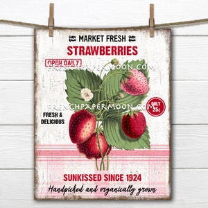 Strawberries, Modern Farmhouse, Digital, Botanical, Farm Strawberries, Plaid, PNG, Wood, Fabric Transfer, Tiered Tray Decor, Fruit SIGN