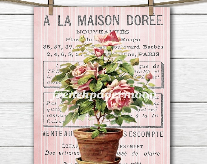 Shabby French Roses, Digital French Rose Topiary, Potted Roses, French Graphics, French Pillow Image, Large Size