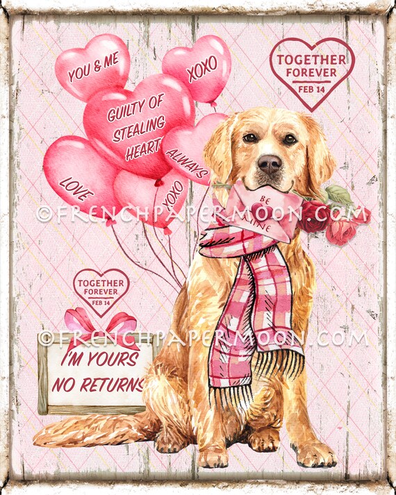 uk greetings Biglietto di San Valentino per fidanzato con busta, motivo: coppia di cani salsiccia