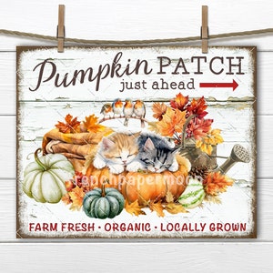 Op de afbeelding: Houten bord met de tekst "Pumpkin Patch just ahead" en illustraties van pompoenen, herfstbladeren en slapende kittens. Het bord is versierd met een gieter en vogels. De onderkant luidt "Farm Fresh Organic Locally Grown."