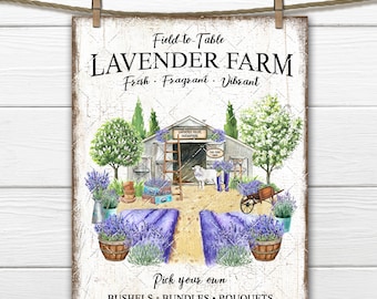 May include: A vintage-style sign for a lavender farm, featuring a watercolor illustration of a farmhouse, lavender fields, and a white sheep. The sign reads "Field-to-Table Lavender Farm, Fresh. Fragrant. Vibrant. Pick your own, Bushels. Bundles. Bouquets."