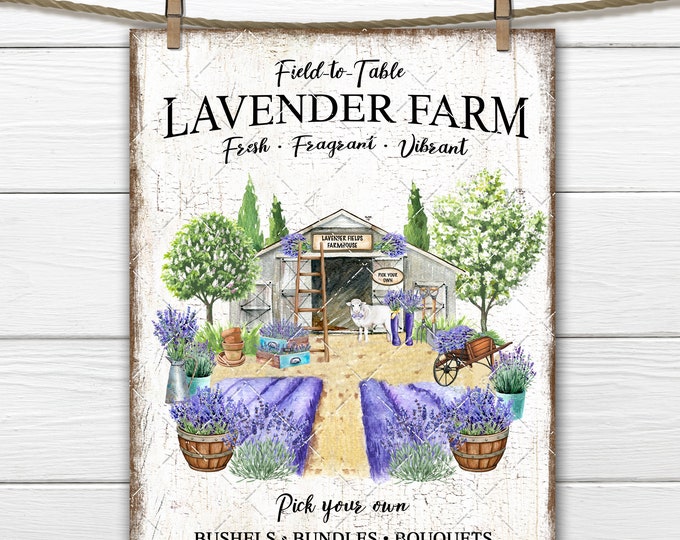 Lavender Farm DIY Sign, Farmhouse Lavender, Lavender Field Landscape, Rustic Barn, Fabric Transfer, Tiered Tray Decor, Digital Print, UPrint