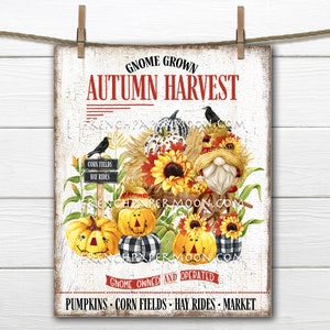 Scarecrow Gnome Autumn Harvest Plaid Pumpkins Corn, Hay Rides, Fall Decor Sign, Image Transfer, Wreath Accent, Tiered Tray Decor, PNG