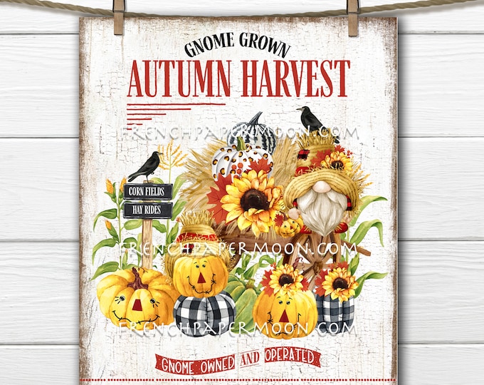 Scarecrow Gnome Autumn Harvest Plaid Pumpkins Corn, Hay Rides, Fall Decor Sign, Image Transfer, Wreath Accent, Tiered Tray Decor, PNG