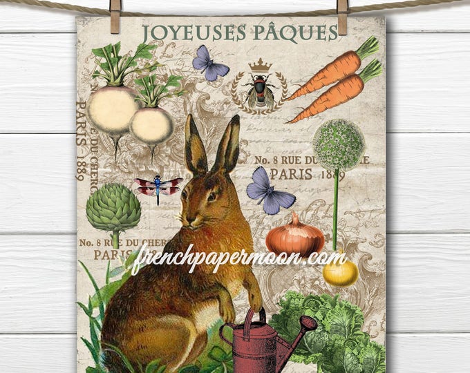 Digital French Easter Graphic Bunny Garden Vegetables  Easter Pillow Image Large Image Graphic Rabbit Transfer Download