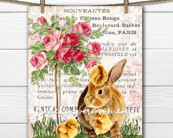 Easter Bunny Digital Print, Rabbit, Chicks, Roses, Easter Crafts, Springtime, French Pillow Image, Transparent, JPEG, PNG, Graphic Transfer