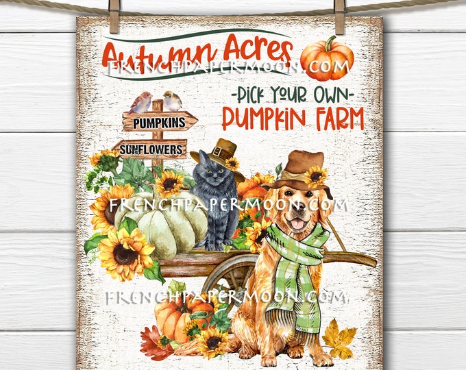 Golden Retriever, Black Cat, Pumpkin Wagon, Fall Harvest, DIY Sign, Image Transfer, Fabric Transfer, Wreath Accent, Tiered Tray Decor, PNG