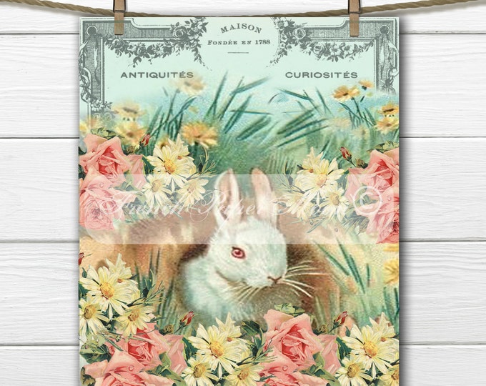 Digital Shabby Chic Bunny, Rabbit, Flowers, French Typography, Digital Easter Pillow Image, Instant Download Graphic Transfer