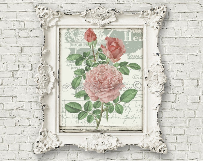 French Shabby Chic Digital Roses, Botanical Transfer Graphic, French Pillow Image, Iron on Fabric