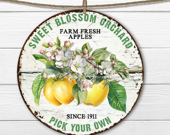 Farmhouse Apple Blossom Circle 8x8 Farm Fresh Apples DIY Sign Making Fabric Transfer Door Hanger Home Decor Digital Sublimation Round Sign