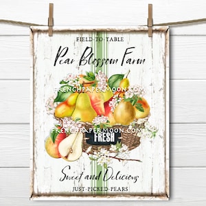 Pere estive della fattoria, Fiore di pero, Frutta, Digitale, Segno di pera fai da te, Trasferimento di tessuto, Immagine del cuscino, Decorazione della ghirlanda, Legno, PNG, Vassoio a più livelli
