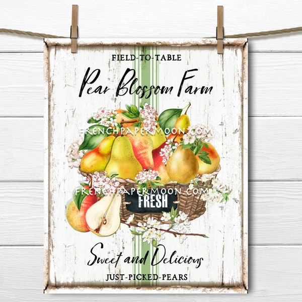 Farmhouse Summer Pears, Pear Blossom, Fruit, Digital, DIY Pear Sign, Fabric Transfer, Pillow Image, Wreath Decor, Wood, PNG, Tiered Tray