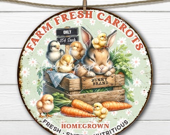 Farm Fresh Carrots Spring Bunnies Chicks Sublimation Circle Digital DIY Signs Fabric Transfer Easter Gift Idea Doorhanger Wreath Accent PNG