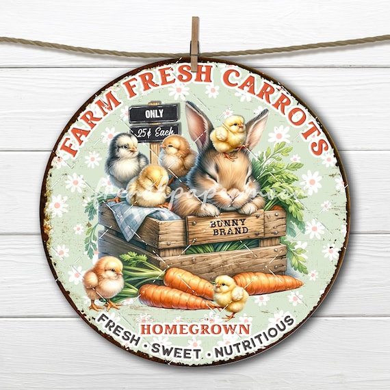 Farm Fresh Carrots Spring Bunnies Chicks Sublimation Circle Digital DIY Signs Fabric Transfer Easter Gift Idea Doorhanger Wreath Accent PNG