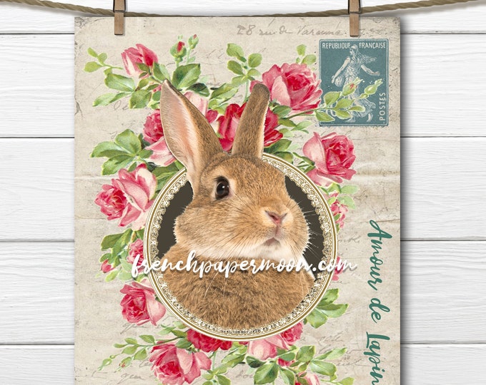 Digital French Bunny, Easter Bunny, Spring Rabbit printable, French Pillow Image, Sublimation, Transparent, Instant Download, Crafts