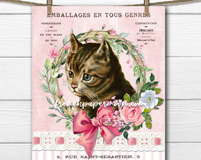 French Shabby Cat, Victorian Cat Graphic, Printable Vintage Cat, Cat Lover, Roses,  French Cat Pillow Image, Sublimation, Transparent