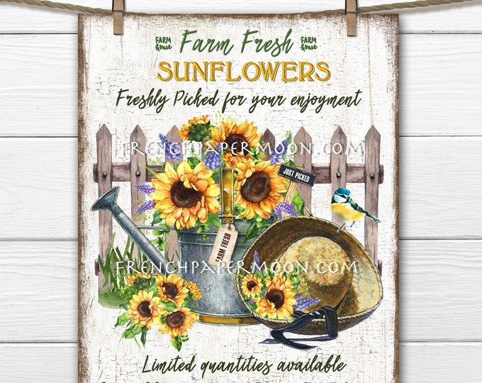 Farmhouse Sunflowers, Sunflower, Digital, Watering Can, Picket Fence, DIY Spring Sign, Wreath Decor, Pillow Image, Kitchen Decor, PNG, Wood