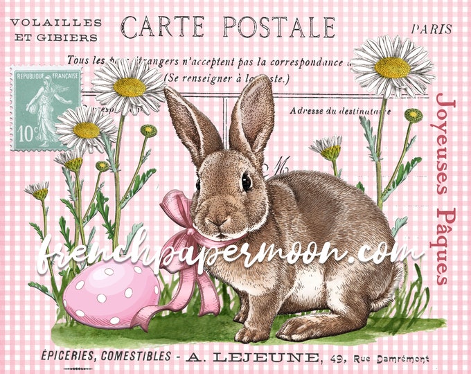 Pink Easter Bunny Print, Vintage Bunny Graphic, Easter Eggs, Spring Garden, French Easter Pillow Image, Digital, Transparent, Crafts