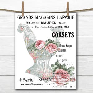 Digitale Franse korset overdracht afbeelding, shabby chic korset, rozen, Franse typografie, opstrijkbaar