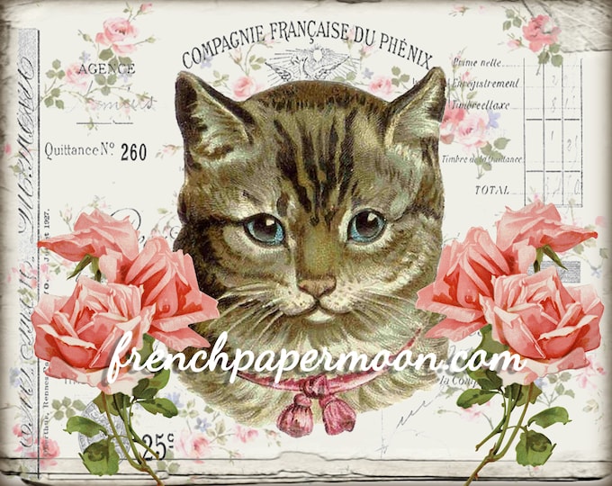 Shabby Digital Cat, Pink Roses, French Graphics, French Pillow Image, Instant Download, Large Image, Scrapbooking, Fabric