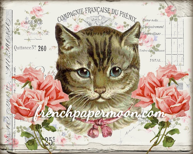 Shabby Digital Cat Pink Roses French Graphics French Pillow Etsy