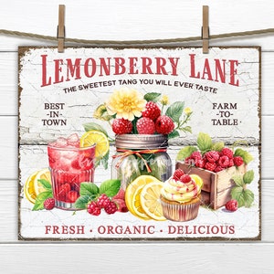 Farmhouse Raspberry and Lemons Mason Jar Lemonade Cupcake DIY Sign Making Tiered Tray Decor Digital Print Wreath Accent png Fabric transfer