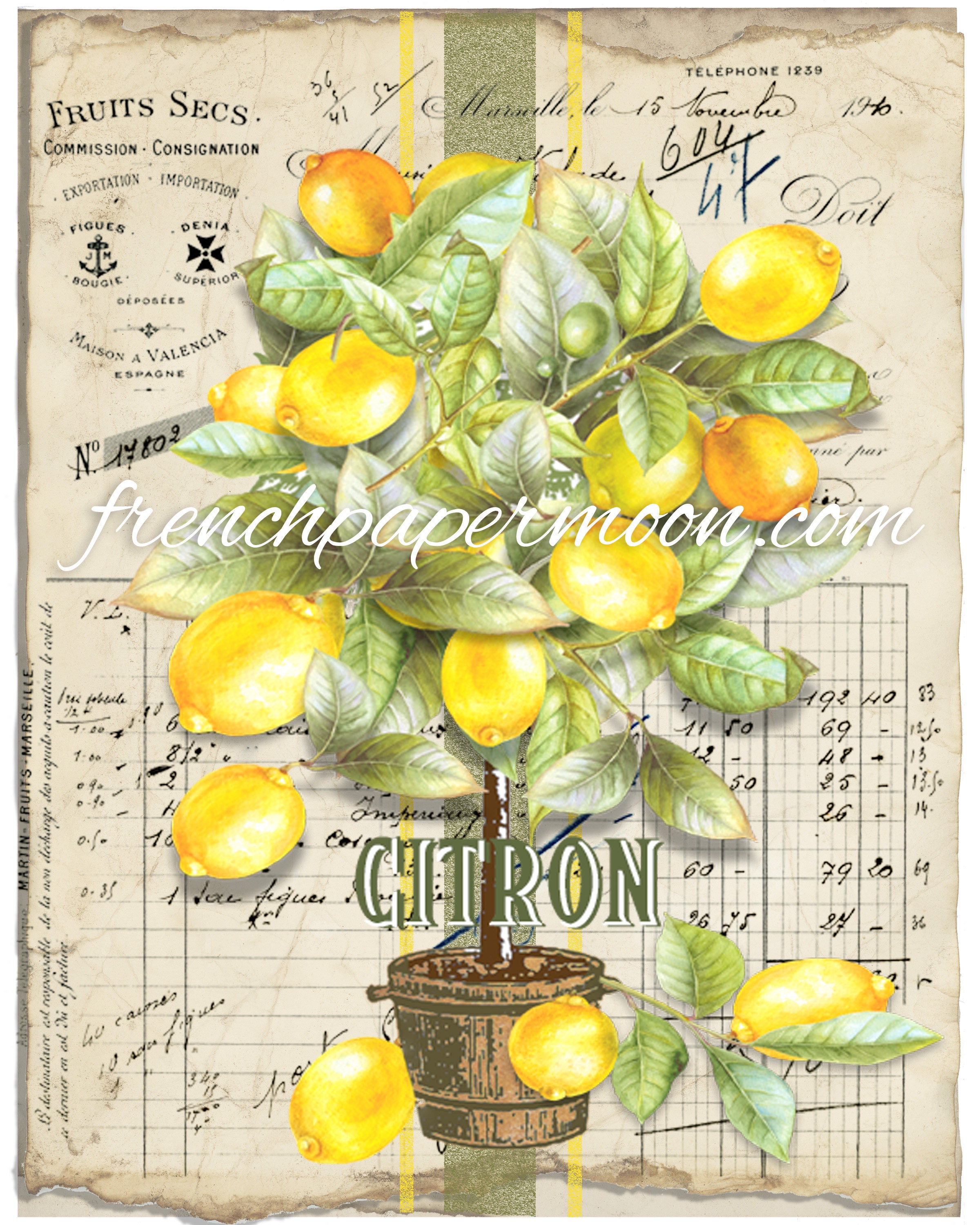 Digital French Lemon Tree Watercolor Lemons Lemon Topiary - Etsy Canada