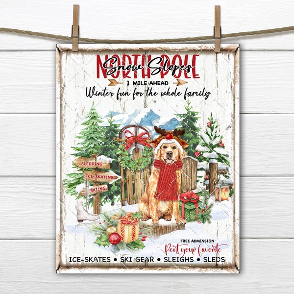 Golden Retriever Christmas Digital, North Pole, Snow Sports, Dog with Scarf,, Winter Gear, DIY Winter Sign, Fabric Transfer, Sublimation,