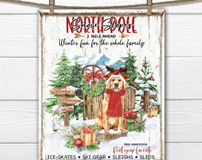 Golden Retriever Christmas Digital, North Pole, Snow Sports, Dog with Scarf,, Winter Gear, DIY Winter Sign, Fabric Transfer, Sublimation,