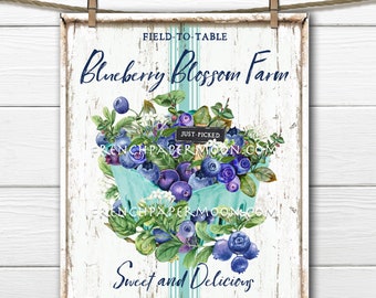 May include: A white sign with blue and green accents advertising blueberries. The sign reads "Field-to-Table Blueberry Blossom Farm" and "Sweet and Delicious Just-Picked Blueberries".