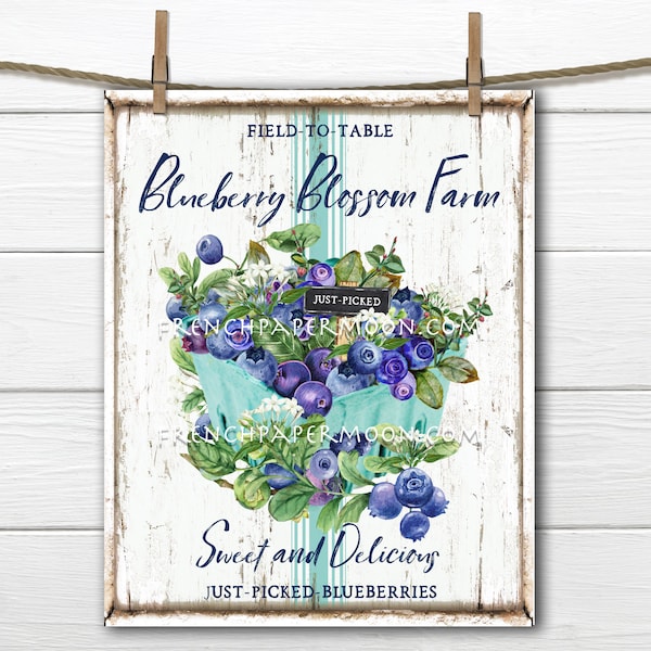 Farmhouse Blueberries, Summer Fruit, Digital, DIY Blueberry Sign, Fabric Transfer, Pillow Image, Wreath Decor, Wood, PNG, Tiered Tray Decor