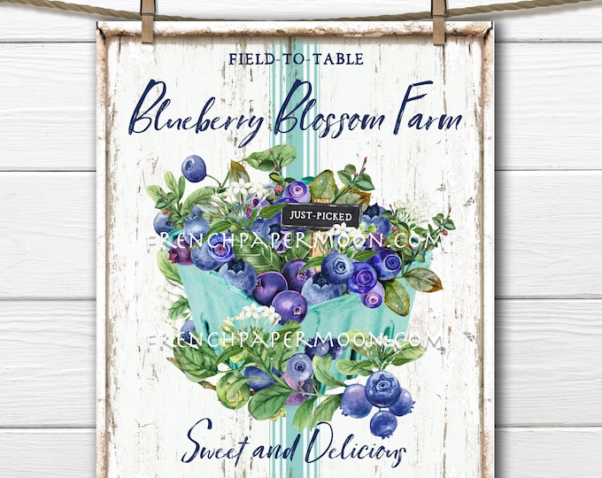 Farmhouse Blueberries, Summer Fruit, Digital, DIY Blueberry Sign, Fabric Transfer, Pillow Image, Wreath Decor, Wood, PNG, Tiered Tray Decor