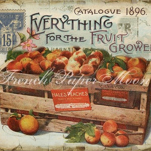 May include: A vintage advertisement for a fruit grower, featuring a crate full of peaches with the text "Everything for the Fruit Grower" and "Catalogue 1896".