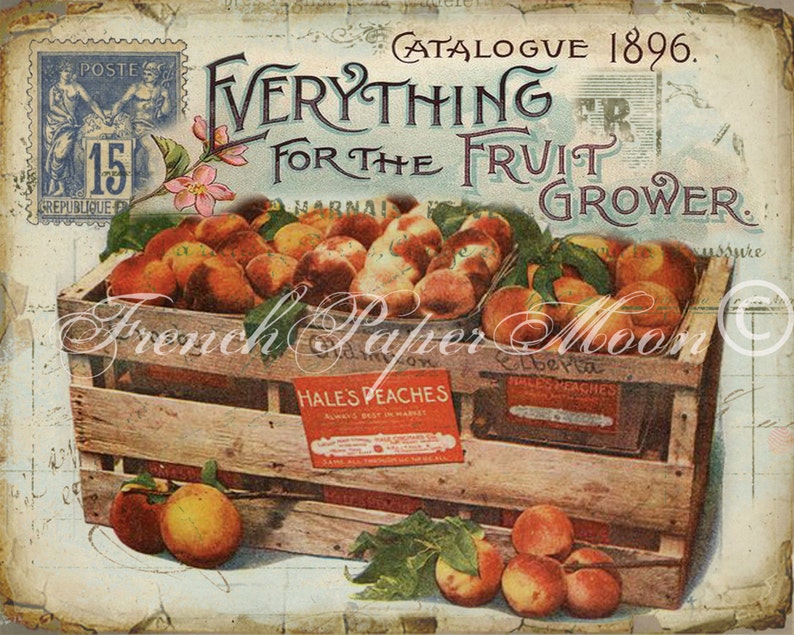 May include: A vintage advertisement for a fruit grower, featuring a crate full of peaches with the text "Everything for the Fruit Grower" and "Catalogue 1896".