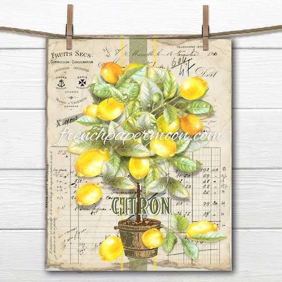Fresh Lemons With Sweet Fragrant Blossoms Bright Watercolor