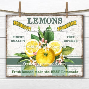 Lemons, Modern Farmhouse, Digital, Botanical, Farm FreshLemons, Lemonade, Plaid, PNG, Wood, Fabric Transfer, Tiered Tray Decor, Lemon Sign