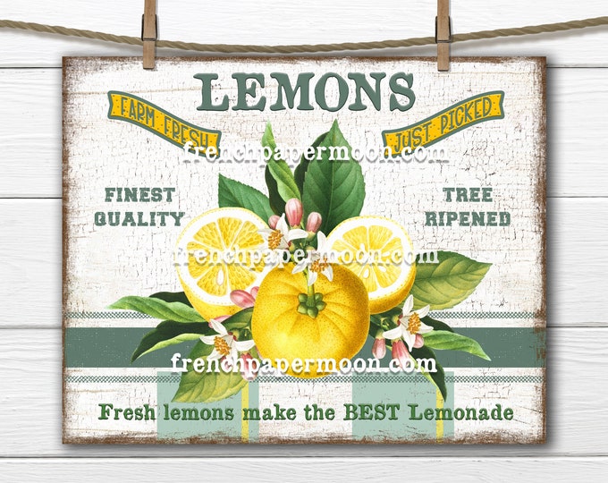 Lemons, Modern Farmhouse, Digital, Botanical, Farm FreshLemons, Lemonade, Plaid, PNG, Wood, Fabric Transfer, Tiered Tray Decor, Lemon Sign