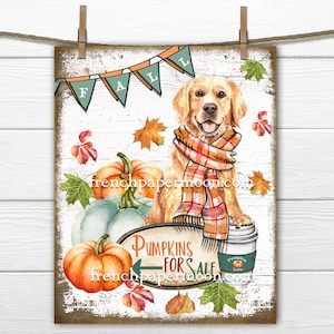 May include: A watercolor painting of a golden retriever wearing a red and white plaid scarf, sitting in front of a sign that says "Pumpkins for Sale". There are pumpkins and fall leaves around the dog. The background is a whitewashed wooden surface with a banner that says "Fall".
