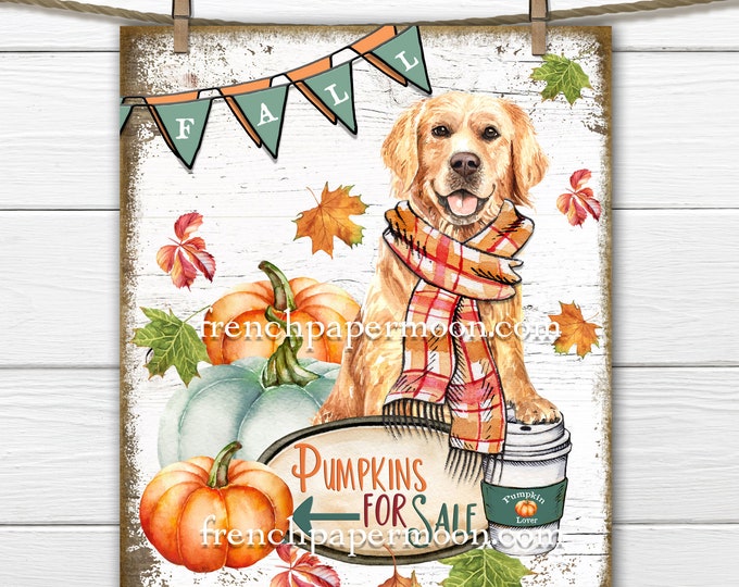 Golden Retriever Fall Print, Pumpkins for Sale, Pumpkin Latte, Golden Fall, Pillow Image, Fabric Transfer, Digital Sign, Transparent, Wood