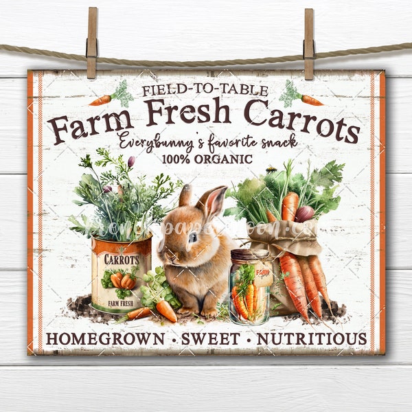 Easter Bunny Carrot Patch Rustic Vintage Shabby  DIY Sign Making Fabric Transfer Tiered Tray Home Decor Print Digital Download Wreath Accent